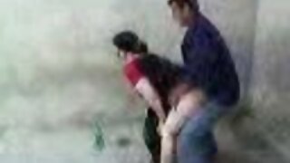 முத்தங்கள்